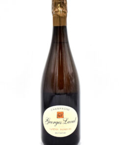 Georges Laval Cumieres Premier Cru Brut Champagne bottle