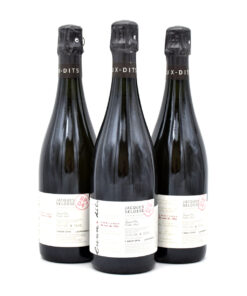 Jacques Selosse Lieux-dits 'Le Bout du Clos' Ambonnay Grand Cru Extra Brut Champagne bottle